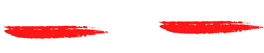 logo VS